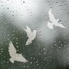 transparente