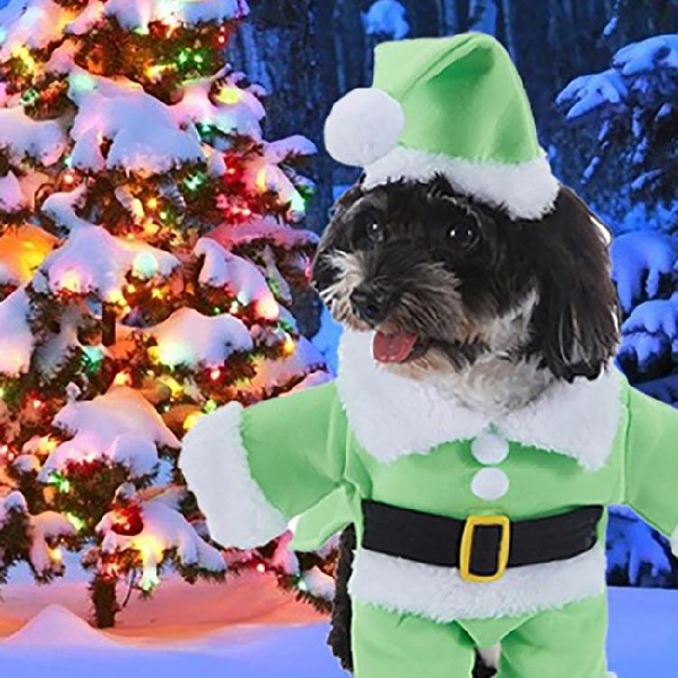Lovely Christmas Outfit for Dog Cats Santa Costume Jumpsuit Hat Set Pet Festival Costume Theme Party Photoshooting Props