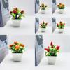 Plastic Fruit Bonsai Set With Faux Flowers And Miniature Decorative Plants For Home Decor