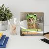 2026 Cat Calendar 2026 Wall Calendar Schedule Planner for Holiday Dates Christmas New Year Office Home Kids Adults Family