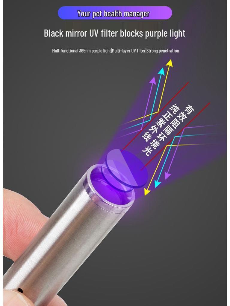 Wood's Katze Ringwurm Erkennung LED: USB-Wiederaufladbares UV-Schwarzlicht zur Erkennung von Geld, Urin und Pilzen