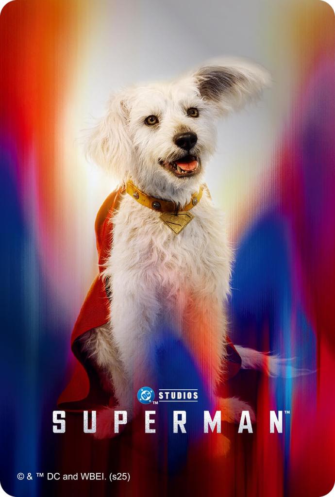 Superman Metallic Card Collection IJ304 (Complete)