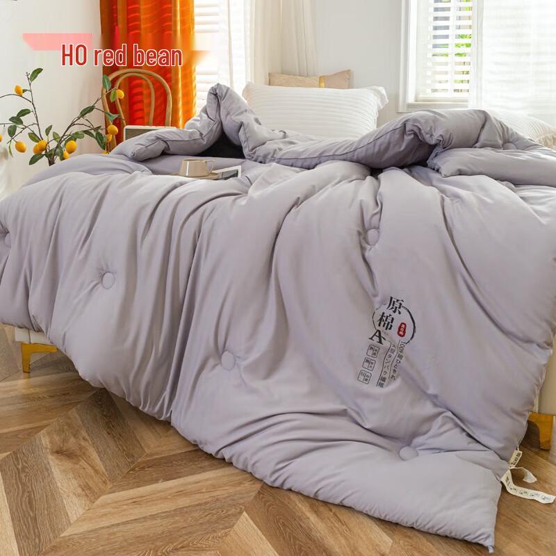 HOdoHome A-Class Soybean Fiber All-Season Quilt