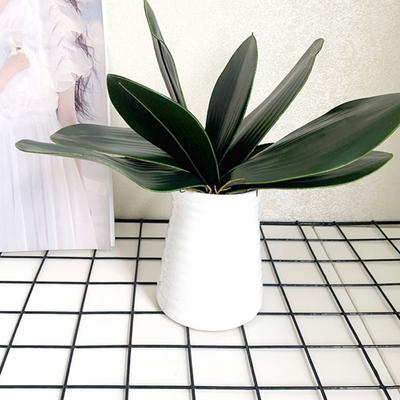 Artificial Green Phalaenopsis Leaves Faux Orchid Leaves Stem Real Touch Green Plant for Flower Arrangement Garden Bonsai Decor