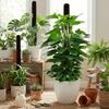 Ventilate Climbing Plant Stand Plastic Potted Plant Holder Plant Support Bracket  Indoor Plant Use
