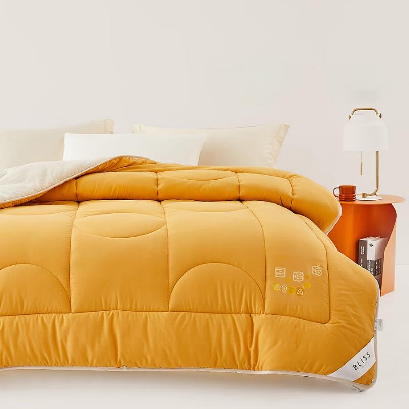 

BLISS DouDuoDuo Spring/Autumn Warm Quilt