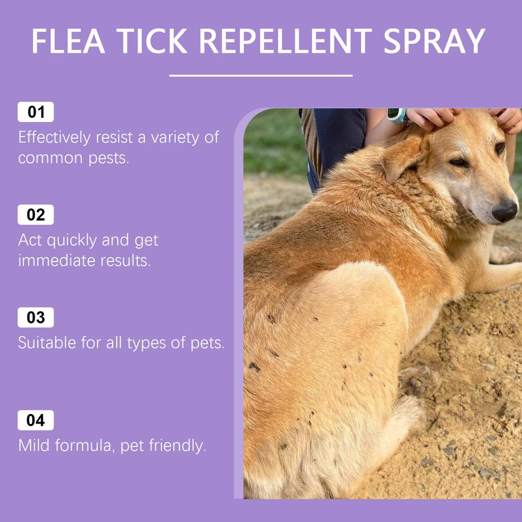 Fleas Ticks Prevent Pet Insecticide for Dog Cat Itching Relieve Pet Insecticide Spray Safe Home Use Flea Treatment 50ml