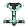 Adjustable Durable Traction Rope Interactive Lead Leash Dog Collars Pet Harness
