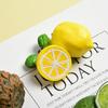 3D Pineapple Lemon Strawberry Fruit Refrigerator Sticker Resin Fridge Magnet Creative Family Gift Decoration Magnetic Sticker
