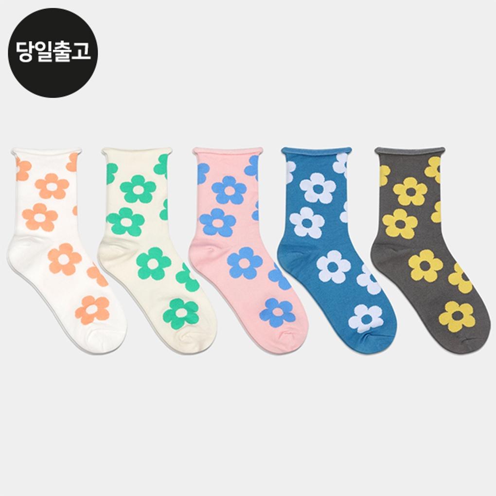 

PG Women s/Students Dol-Dol-I Flower Medium Socks (5 Pairs) Set Daily Student Girls Fashion