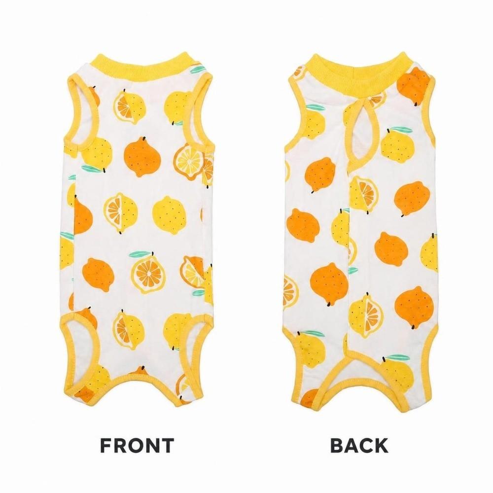Prevent Licking Cat Surgical Recovery Suit Breathable Cat Onesie  Post-Surgery Recovery