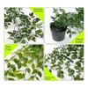 A84E-Artificial Hanging Plants Artificial Mandala 3 Pack Artificial Eucalyptus Potted Greenery Faux Eucalyptus Mandala Vine