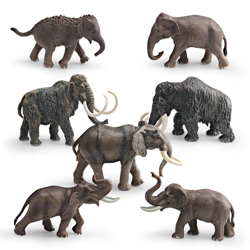 Wild Animal Model: Asian Elephant & Mammoth Cognitive Toy Decor for Kids
