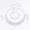 Full Diamond Rhinestone Necklace Earrings Delicate Clavicle Chain Earrings Two-Piece Set
