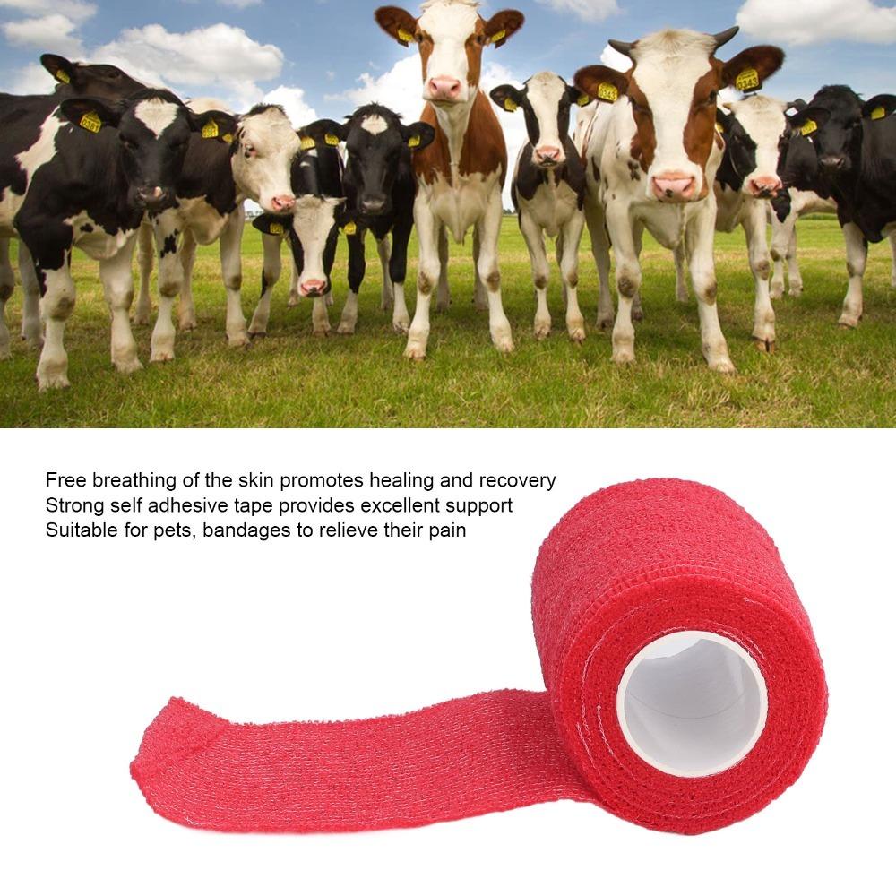 12Pcs Elastic Self Adhesive Self Adhesive Bandage Porous Non Woven Pet Vet Bandage Dogs красный