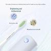 Philips HX2451 Sonic Electric Toothbrush CN Plug (adapter Included)