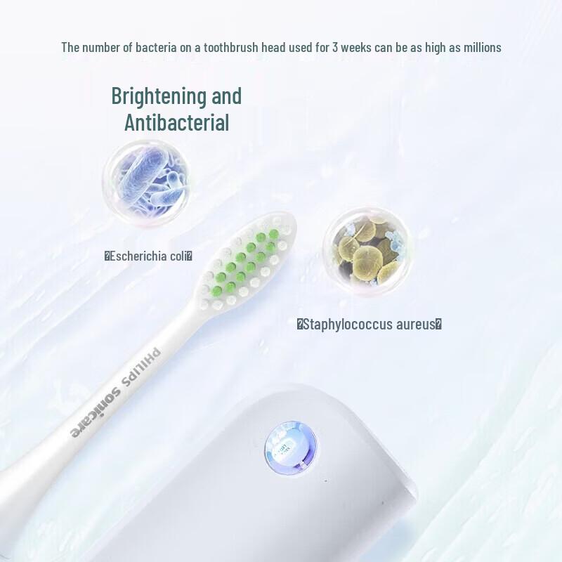 Philips HX2451 Sonic Electric Toothbrush CN Plug (adapter Included)
