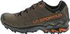 Ultra Raptor II GTX Trekking Shoes (34F803208) Coffee/hawaan Sun