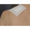Bamboo Detox Patch - Pack of 30