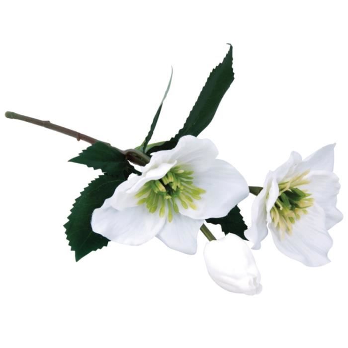Artificial Flower - RAYHER - Christmas Rose - White - 34 Cm - Fabric and Plastic