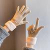 Gloves Women's Warm Fleece Windproof Electric Vehicle Cashmere Winter Ladies Driving