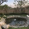 Wiggler solare dell'acqua con agitatore dell'acqua di backup della batteria al litio da 3,7 V 400 mAh per la decorazione del giardino del bagno degli uccelli