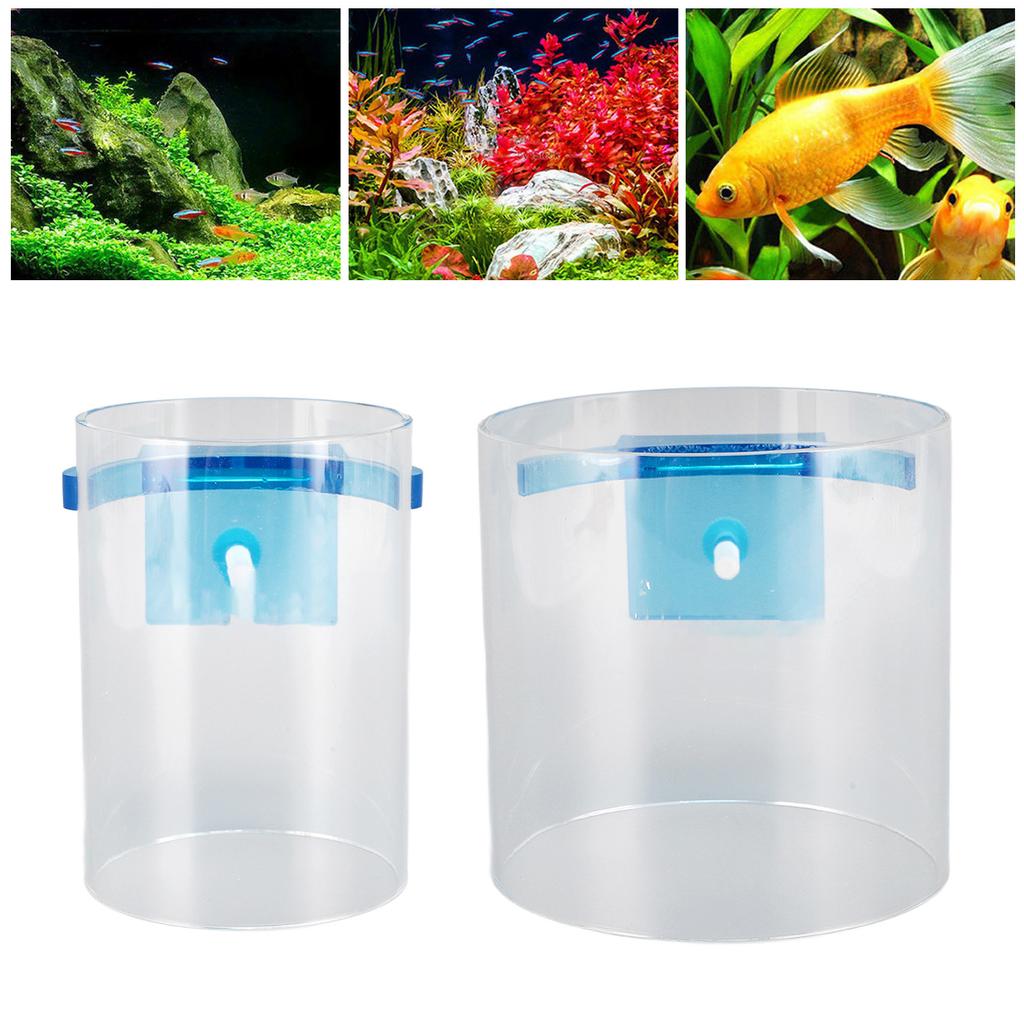 Fish Feeding Ring Raised Sturdy Clear Acrylic Fishes Floating Food Feeder Circle For Fish Tank Aquar