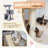 PAWZ Road Mini Katze Ältere Katze Hanfkatze Kratzbaum Höhe Beige - Turm, Klein, Turm, Niedrig, 2-stöckiges Bett, Schlank, Kompakt, Freistehend, Spielzeug,