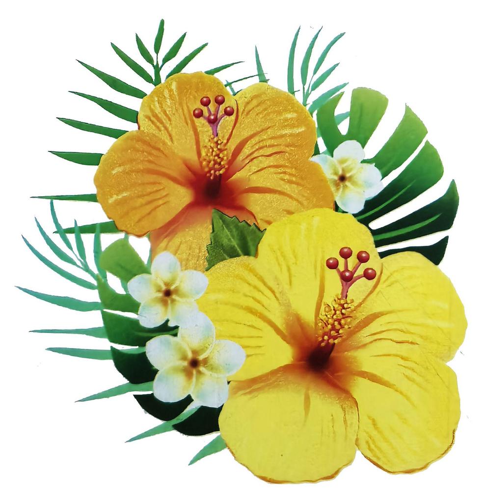 Double-Sided Waterproof Transparent Fly and Insect Sticky Trap Window Sticker