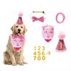 Haustier Geburtstag Set mit goldenen Pailletten Hut Bandana Geburtstagsparty Banner Dekoration Fliege Katze Hund Spielzeug Festliche Party Accessoires