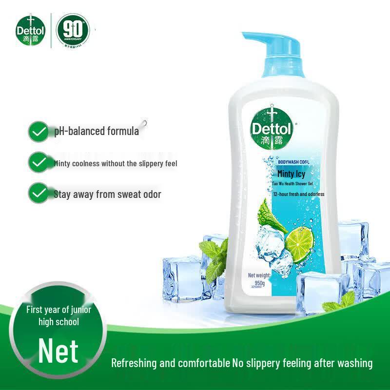 Dettol Peppermint Ice Cool Shower Gel