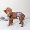 Pantalones sanitarios lavables ajustables para mascotas, cinta de sujeción absorbente, a prueba de fugas, pañal fisiológico para perros, suministro para mascotas
