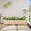 Planting Box 180x31x31 cm Solid Pine Wood