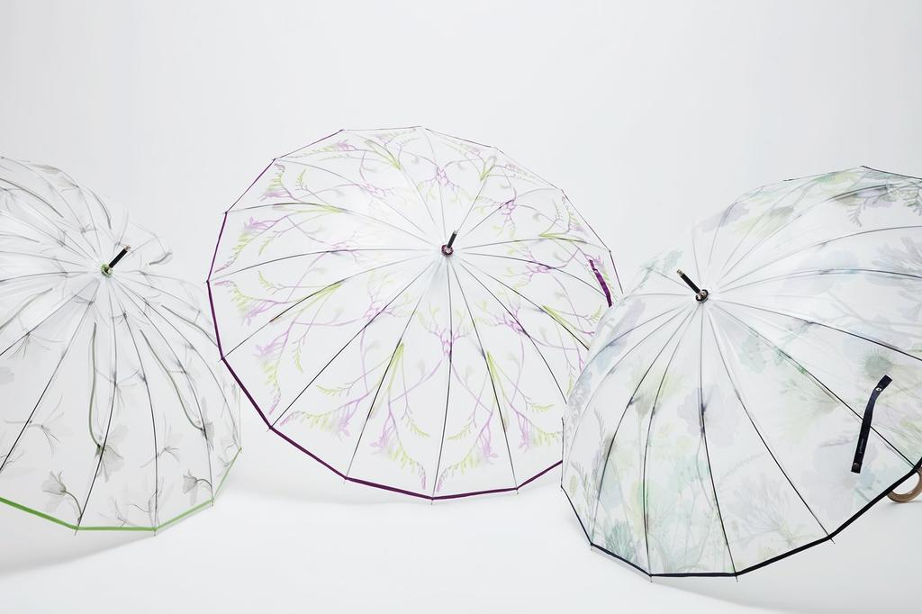 Waterfront Long LICENSE Series Crafted from Featuring a 16 and a Wind Resistance of Umbrella, "memorif. Petal" Asanohikari, 55cm, Nature, Petal-Shaped