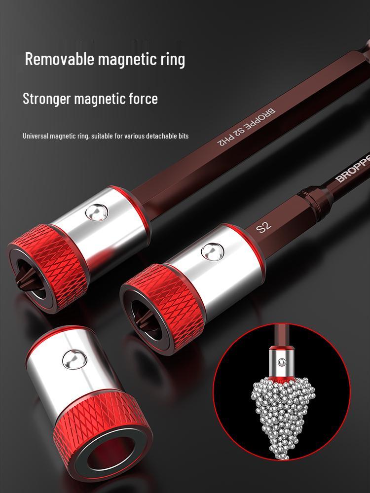 Double-Ended Strong Magnetic Screwdriver Bit Set with Phillips & Flathead Tips