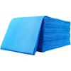 Thickened Waterproof & Oil-Proof Disposable Massage Bed Sheets with Face Hole