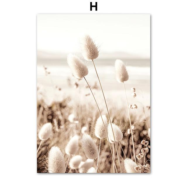 Nordic Beige Dandelion Flower Plant Feather Canvas Painting Wall Nature Art Posters Prints Pictures For Living Room  Home Decor