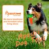 Carrot-Shaped Dog Chew Toy Ideal for Super Chewers