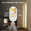 LED Floor Lamp, Dimmable and Color-Adjustable, Modern Japanese Design, Stylish, USB Lead Plug, Perfect for Living Rooms, Bedrooms, Studies, Game
