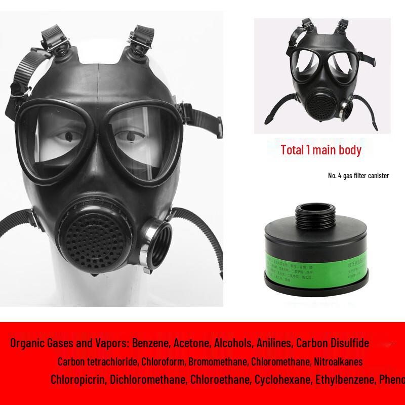 DAXTE Full Face Respirator Mask