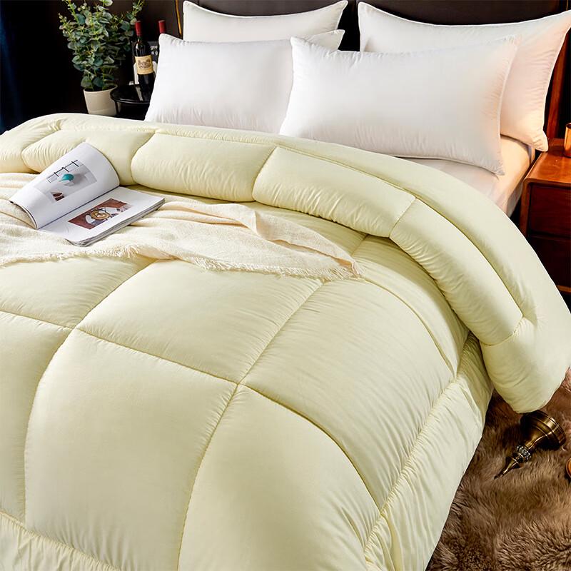 All-Season Thickened Warm Quilt