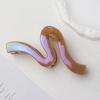 Korean Versatile Shiny Claw Clip: High-End Hair Accessory for Women