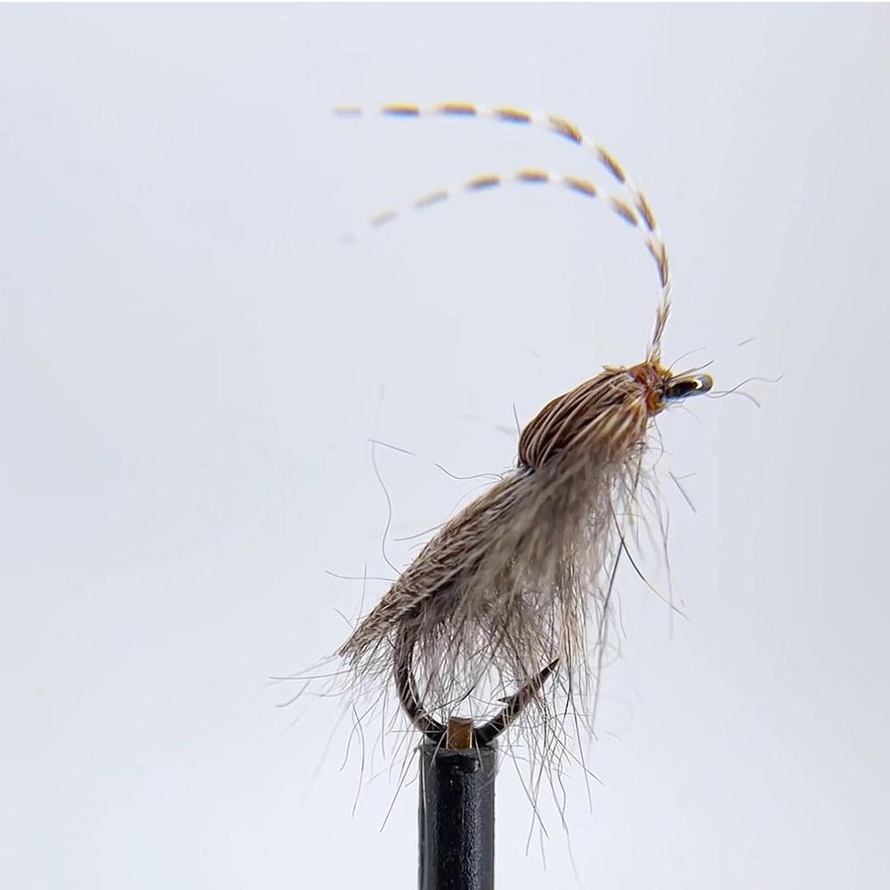 5/10 Stück Elchhaar Köcherfliege Trockenfliege, Realistische Erwachsene Köcherfliege Schwimmende Angelköder mit Antennen, Forellenangel Fliege für Süßwasser