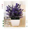 Plastic Artificial Plants Potted 8 Styles Home Garden Decor Grass Plants Pot Ornament Fake Flowers
