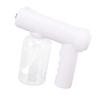 Nano Cleaning Sprayer Rechargeable Blue Light Portable Handheld Alcohol Atomizer for Home Garden