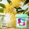 1kg Laundry Scent Booster Beads for Clothes – Long-lasting Fragrance, Softens, Protects, Removes Mites