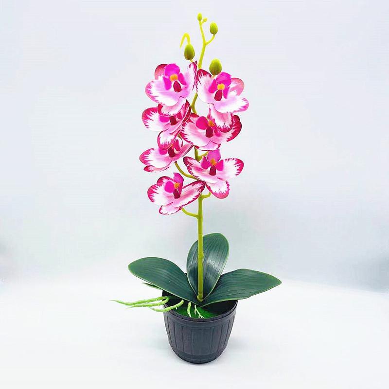 Phalaenopsis Artificial Aphrodite Rchb Potted Plant  For Gift And Interior Decor