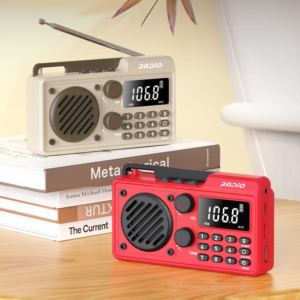 Pocket Radio Wireless BT Speaker Battery Operated Radio Support TF Card U Disk Earphone Sleep Timer for Indoor Outdoor Travel