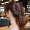 Clip  For Girl For Women Banana Clip Hair Accessories Ponytail Holder Korean Style Hair Clip