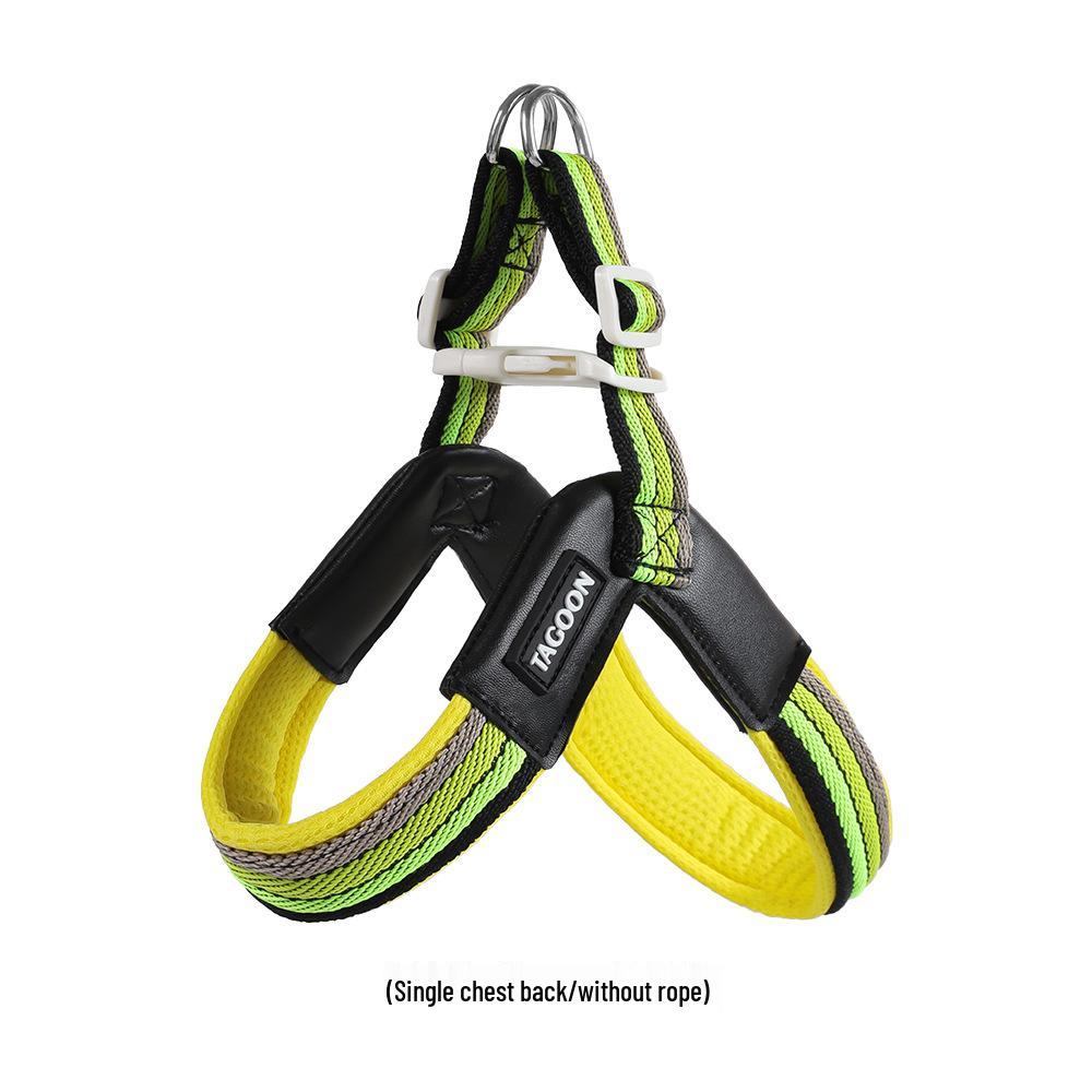 Breathable Color Block Harness & Leash for Small/Medium Dogs - Teddy, Shiba Inu
